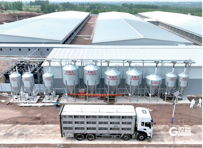 胶州里岔黑猪一体化产业园俯瞰。 徐 锋 摄