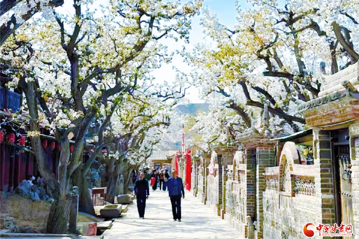 西北角·中国甘肃网记者 程健 通讯员 何莉莉 薛长明