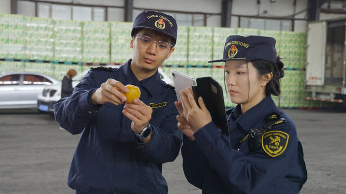 报关员正在查验货品（央广网发  绥芬河市委宣传部供图）