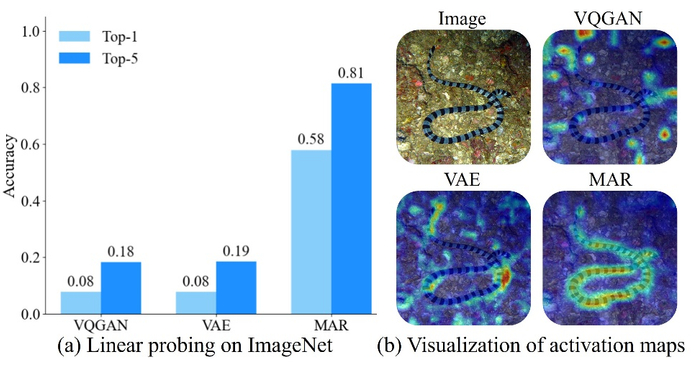 图一：Linear Probing 和特征图激活