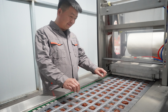 优乐福家庭农场负责人徐德来在检查南果梨干质量（央广网记者  李子平  摄）