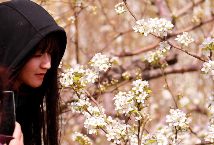 来自营口的游客小颖在梨园打卡留影（央广网记者  李子平  摄）