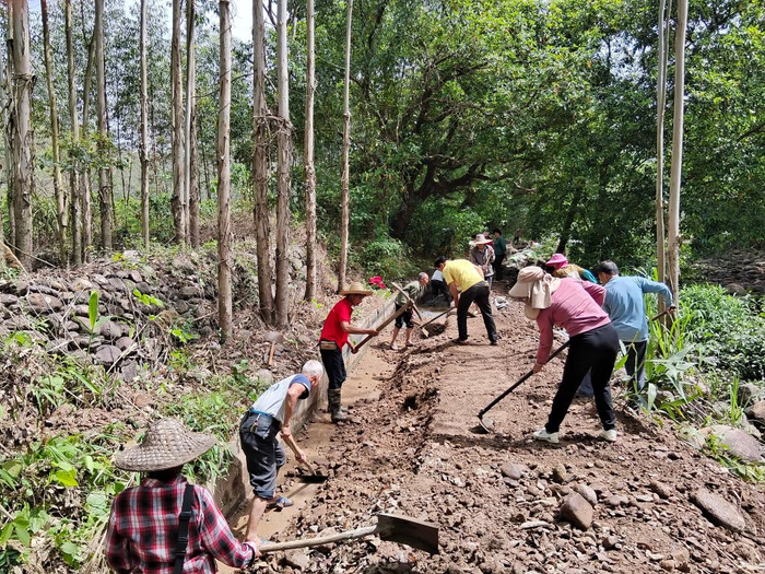 广西武宣县东乡镇屯应村党员干部与群众一起修水渠抗旱。（雷正晓 摄）