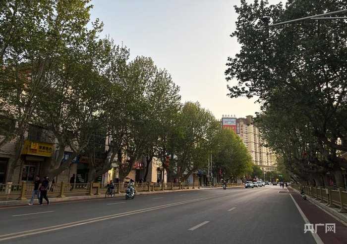 宽阔平整的灵台县东大街（央广网发 灵台县融媒体中心 供图）
