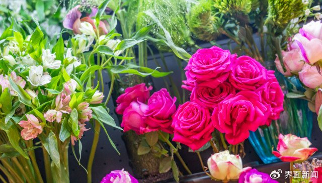 图片来源：界面图库