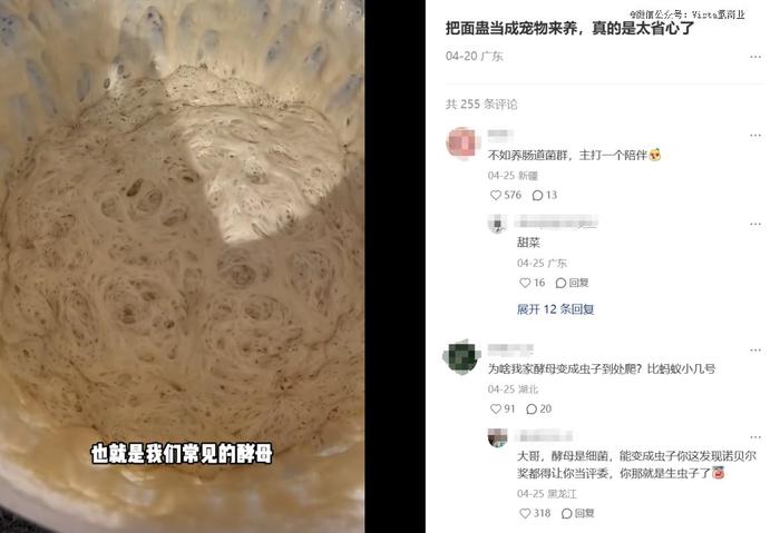 图源:小红书@MZDN望世界