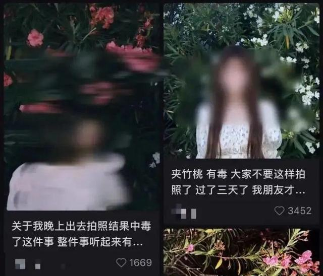 图源：极目新闻