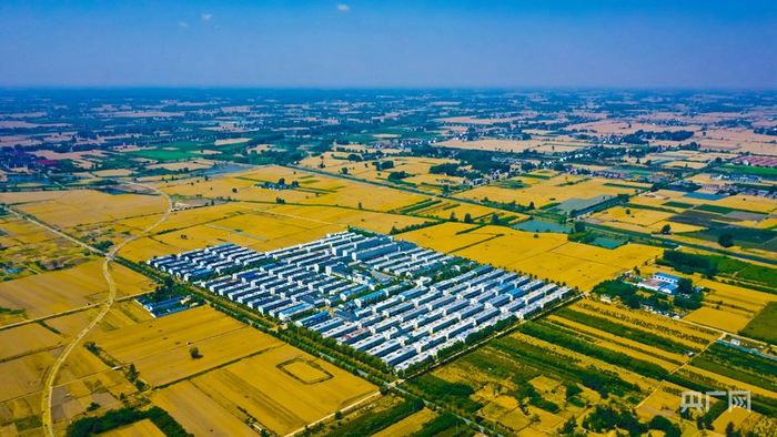 美丽的白行社区（央广网发  颍州区委宣传部供图）