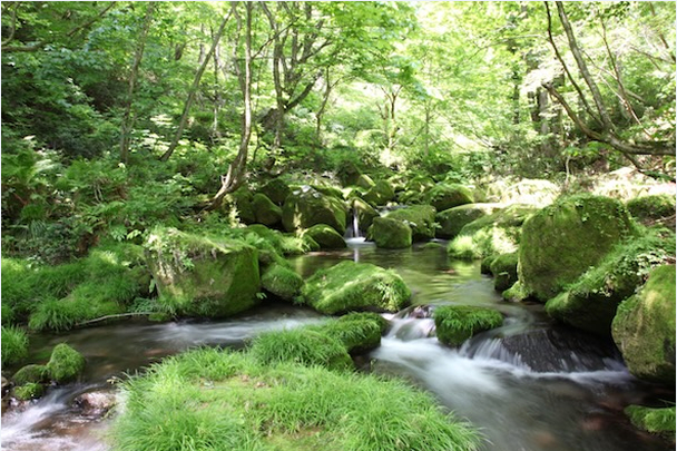 配图:三得利“水育“计划(Mizuiku)