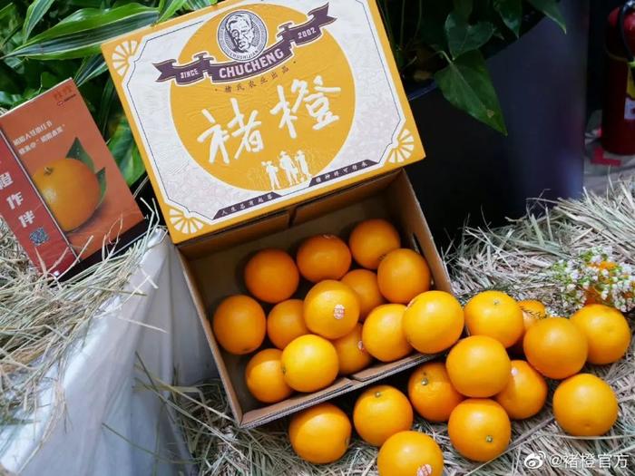 图片来源:微博@褚橙官方