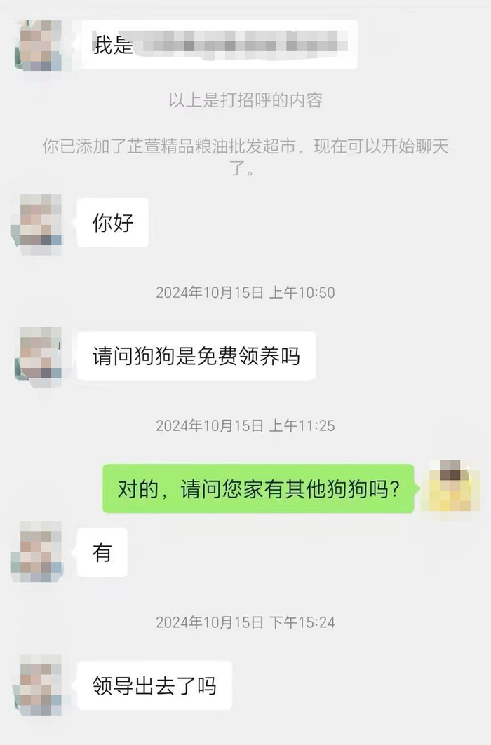 店铺老板虚假爱心领养流浪狗