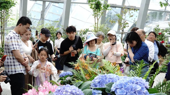 花展志愿者热情讲解