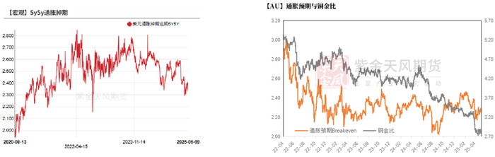 数据来源：Wind，紫金天风期货研究所
