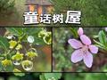 北京密云两天一夜| 这条路线一定码住??超详