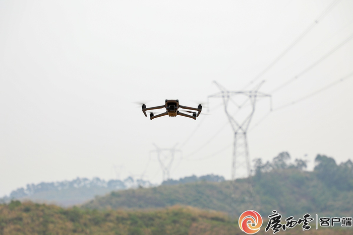 起飞巡检的无人机。广西百色市林业局供图
