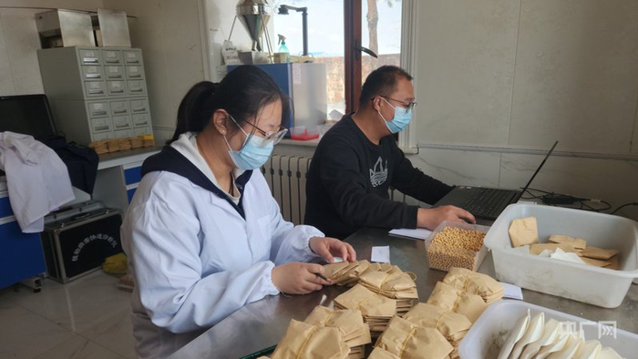 吴娟和同事正在选择优良大豆品种（央广网记者  杨亚东  摄）