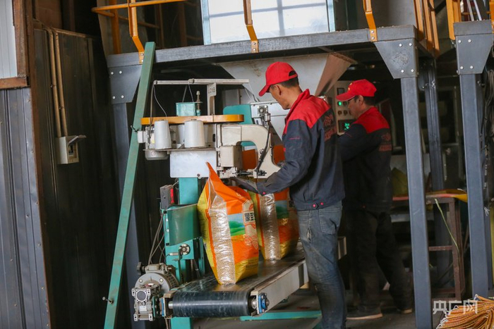 大豆种子打包后送往田间地头（央广网记者  杨亚东  摄）