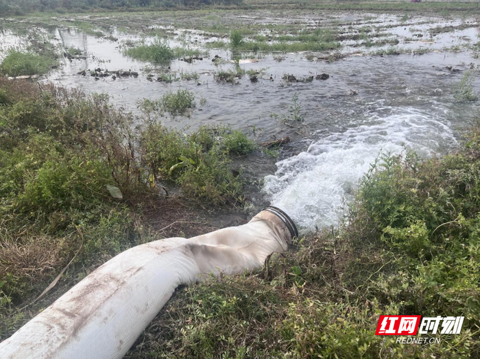 谢敏自费修建的抽水管道。