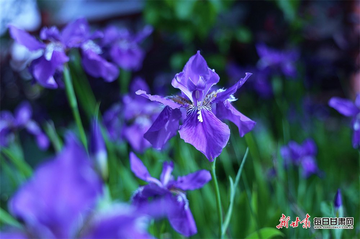 责任编辑：于帅