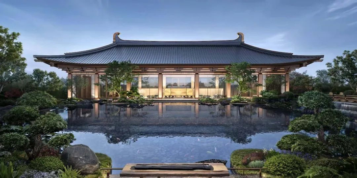 项目效果示意图