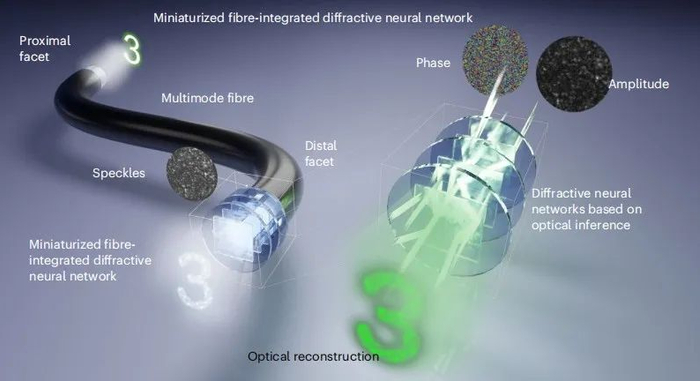 图丨光纤端面集成光子芯片成像的概念图（来源：Nature Photonics）