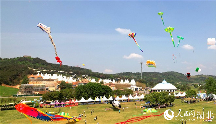 木兰草原举办国际风筝邀请赛。人民网记者 周倩文摄