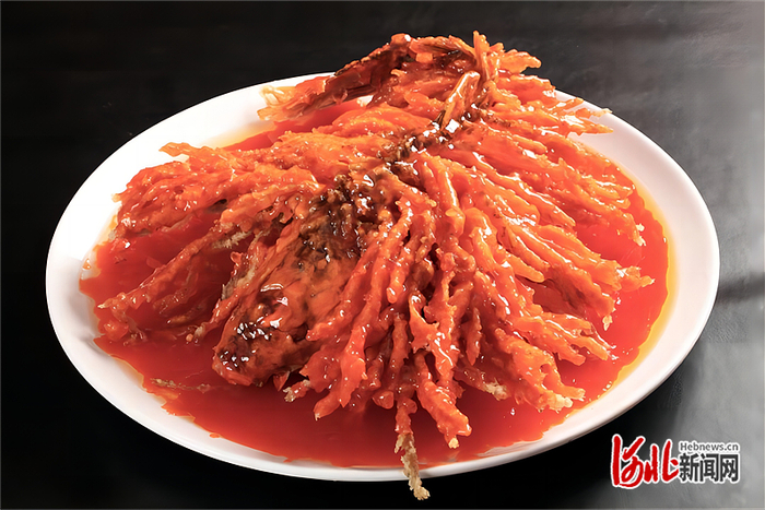 金毛狮子鱼。 河北日报资料片