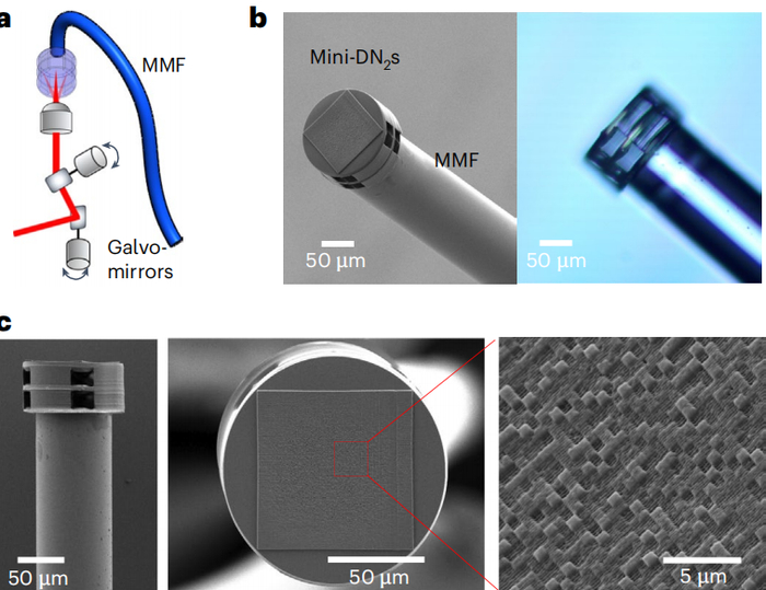 图丨光纤端面集成光子芯片的实验结构图（来源：Nature Photonics）