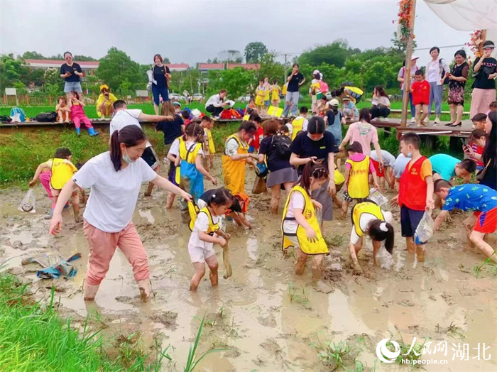 孩子们在火焰村体验插秧的乐趣。人民网记者 郭婷婷摄