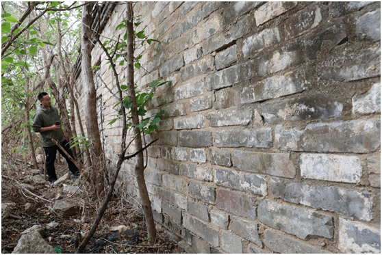 张龙教授在歇甲庄调查城砖