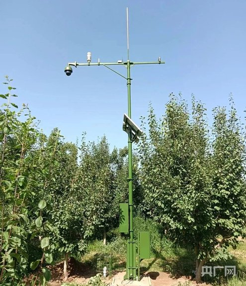 智慧监测系统  （央广网发  阿力米热·亚森  摄）