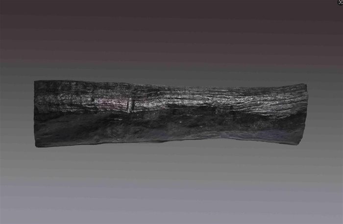 二号沉船乌木。