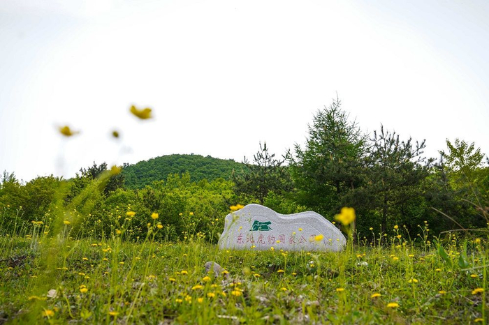 东北虎豹国家公园（颜麟蕴 摄）