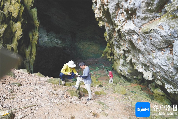 资料图：考古工作者正在研究洞穴采集标本。