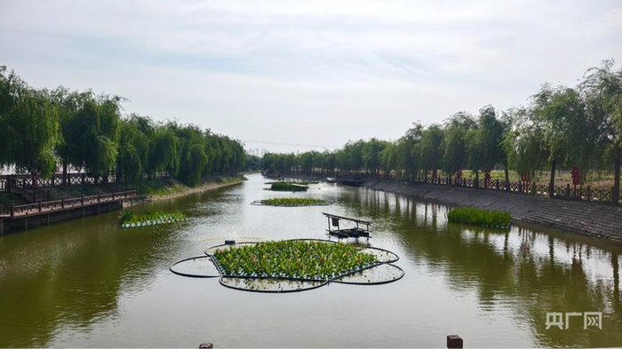 官路边村如今的坑塘（央广网记者  郝振青  摄）