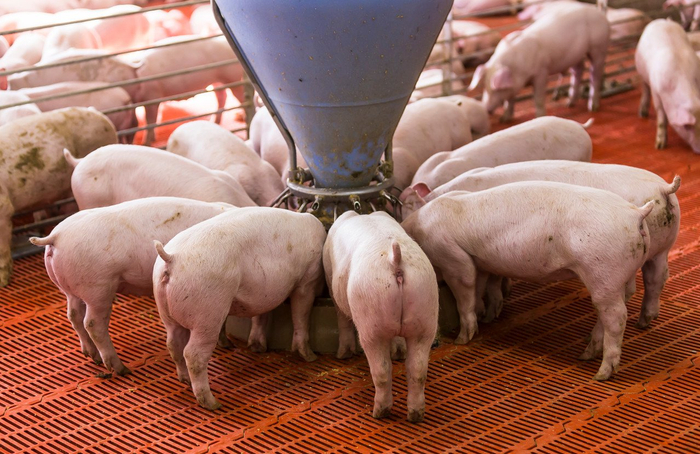 图源：图虫创意