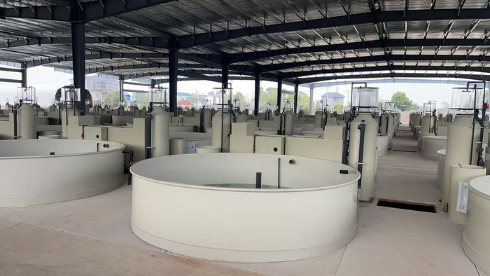 采用深圳市鸿海水族设备有限公司产品建设的浙江衢州龙游县龙和渔业养殖基地（央广网发  受访者供图）