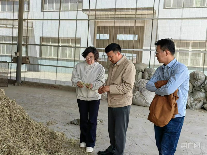 殷国梅与科技特派团团员在饲料加工厂指导饲草生产（央广网发  受访者供图）