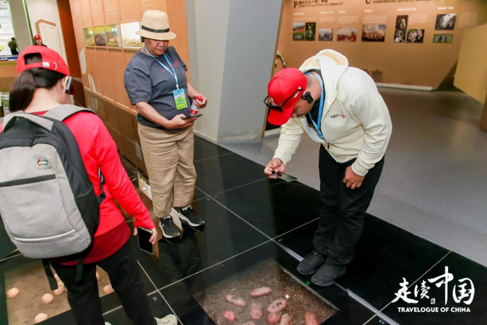 “走读中国”国际交流项目外媒记者在薯都凯达参观