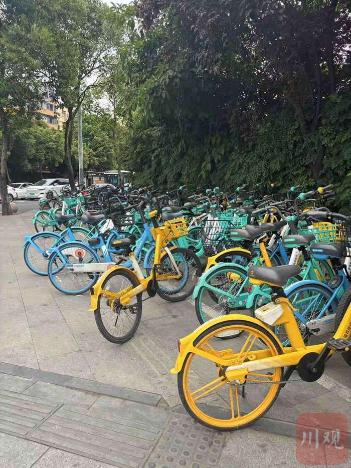共享单车占用盲道（唐子晴 摄）