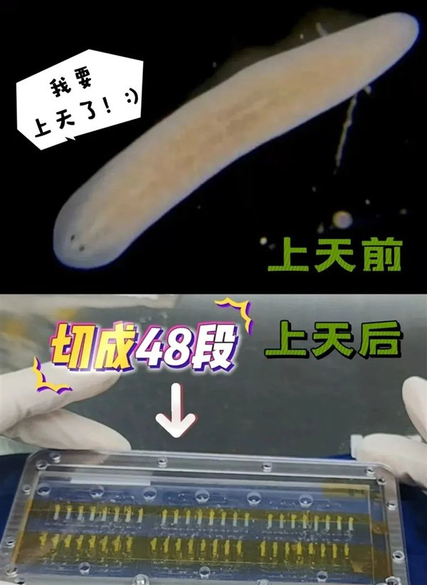 图源：央视新闻