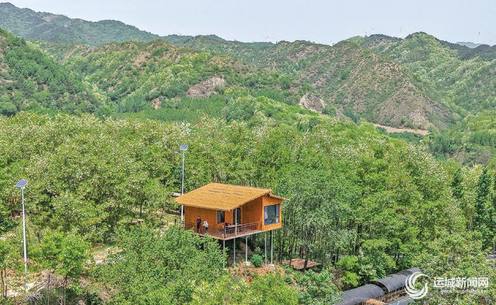 河东陈记庄园树木葱茏，民宿房间掩映在树林中。记者 金玉敏 摄