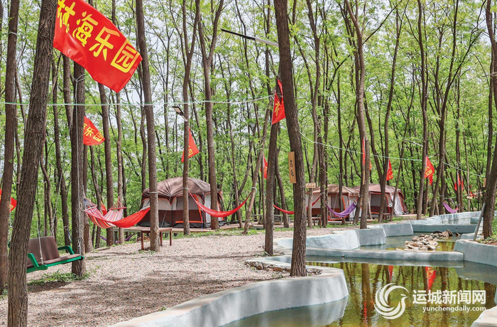 河东陈记庄园的林海乐园环境优美，可供游客露营。记者 金玉敏 摄