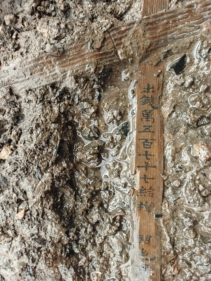 简牍出土场景。云南省文物考古研究所 供图