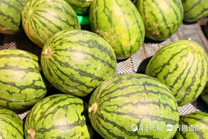 西瓜是首选的消暑水果。孟猛 摄