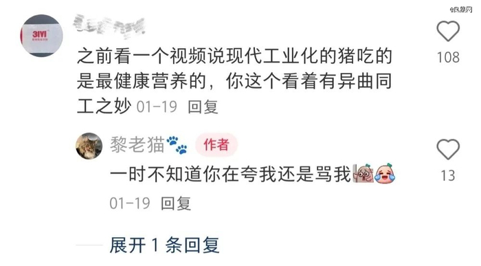 〓 图源：@黎老猫