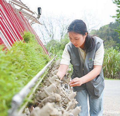 骆雨在检测插秧机准备插秧作业。   张一多摄