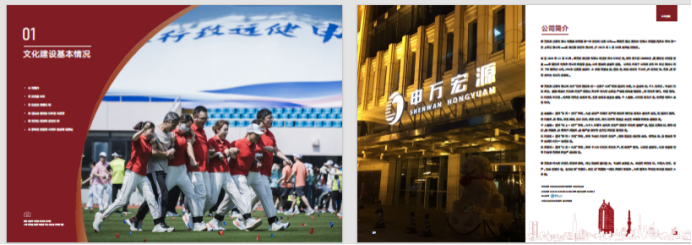 图为申万宏源文化建设年报内文。