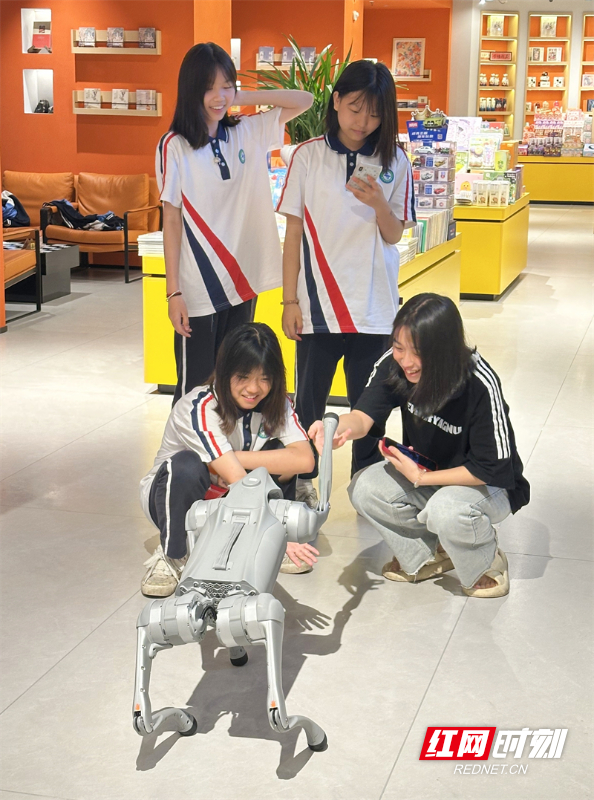 孩子围观机器狗。