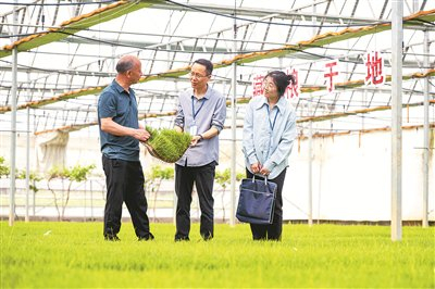 图为近日，安徽省芜湖市繁昌区纪委监委工作人员走访峨山镇城东村育苗基地了解情况。 肖本祥 摄